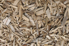 biomass boilers Dalvanie